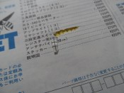 SAM_14118